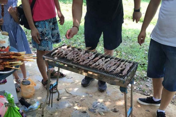 農(nóng)家樂燒烤活動